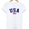 USA flag t-shirt